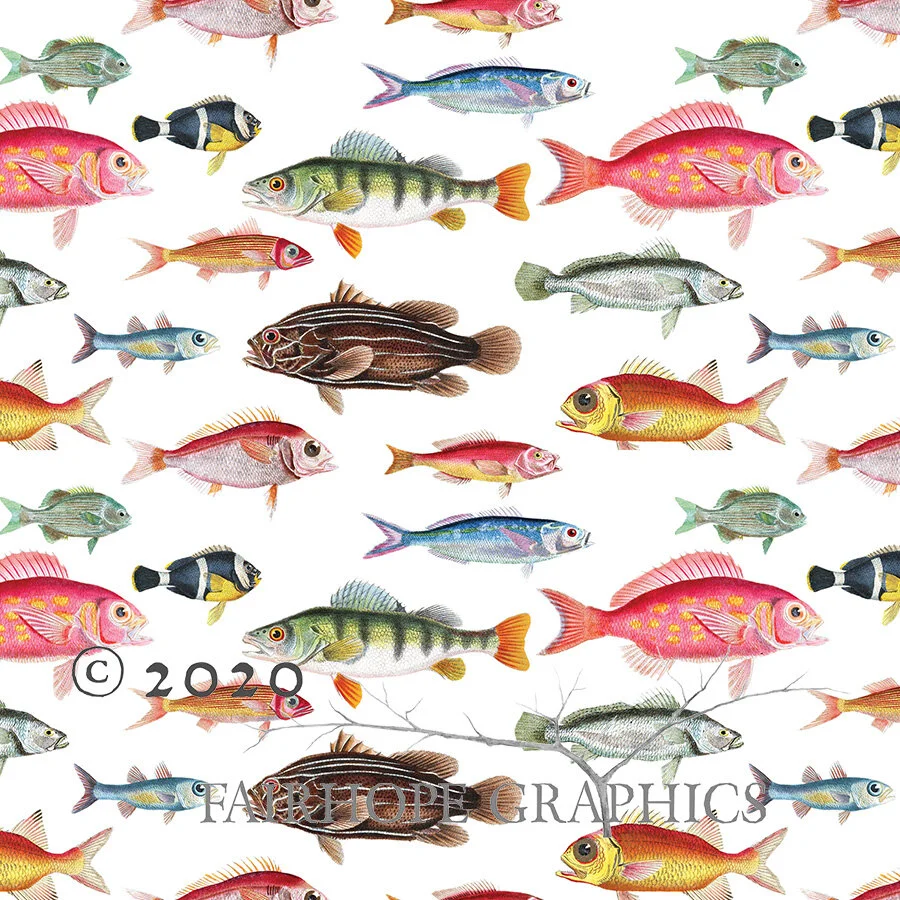 Fish gift wrap deals